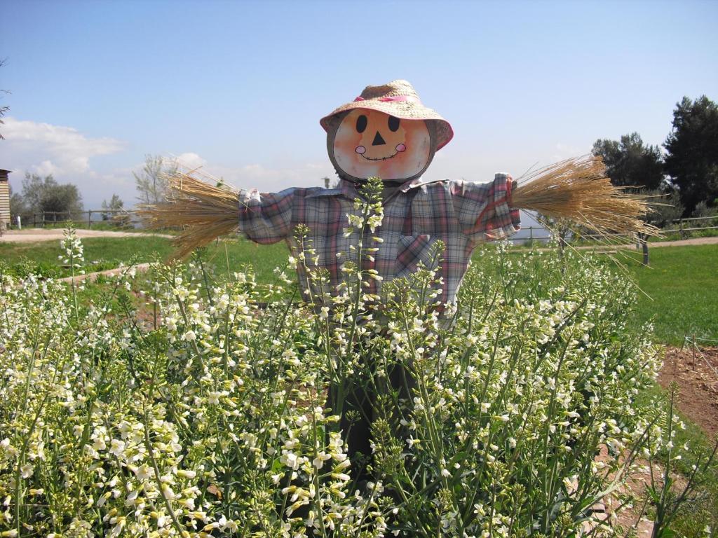 Vilar Rural De Cardona Bagian luar foto